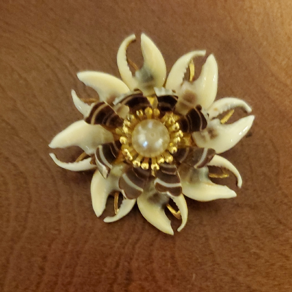 Vintage Shell With Faux Pearl Centet Elegant Cream and Brown Floral Brooch